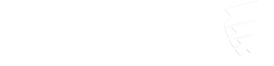 Skyvest Investment